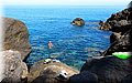 DSCN8366.jpg