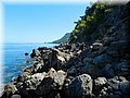 DSCN8367.jpg