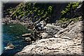 P7274991.JPG