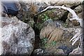 P7275002.JPG