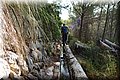 P7315006.JPG