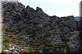 P7315013.JPG