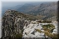 P7315029.JPG