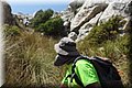 P7315035.JPG
