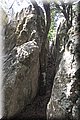 P8035045.JPG