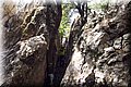 P8035050.JPG