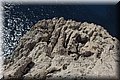 P8145105.JPG