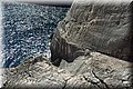 P8145118.JPG