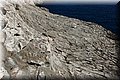 P8145119.JPG