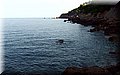 P8175154.JPG