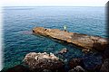 P8175159.JPG
