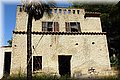 P8175202.JPG