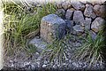 P8245210.JPG