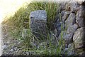P8245211.JPG