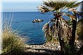 P8245213.JPG