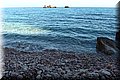 P8245216.JPG
