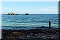 P8245217.JPG