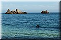 P8245221.JPG
