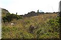 P8285309.JPG