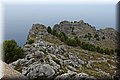 P8285319.JPG