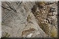 P8285332.JPG