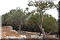 PA025372.JPG