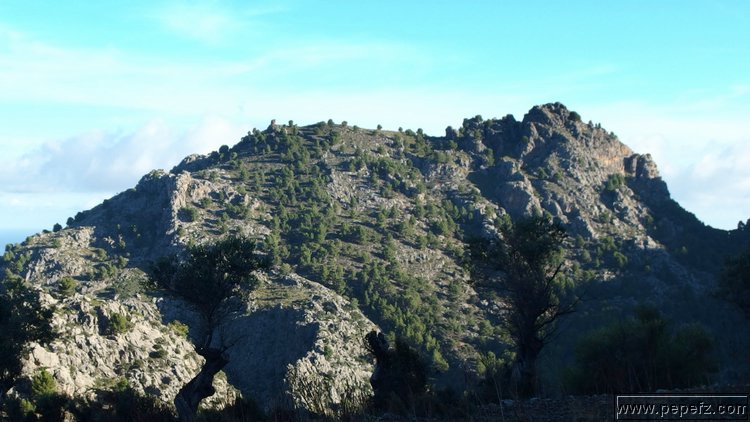 PA055382.JPG