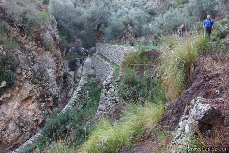 PA055384.JPG