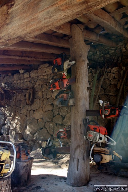 PA055388.JPG