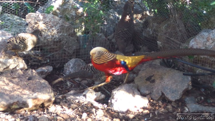 PA055389.JPG