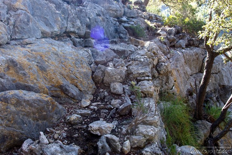 PA055391.JPG