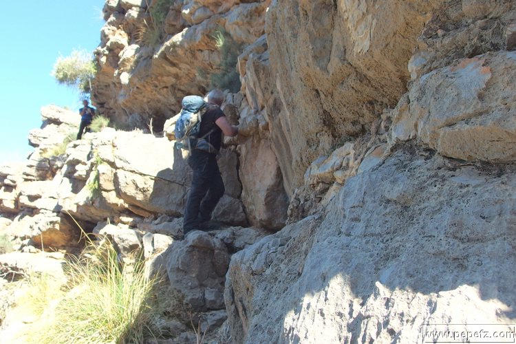 PA055409.JPG