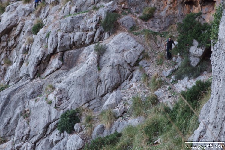 PA055413.JPG