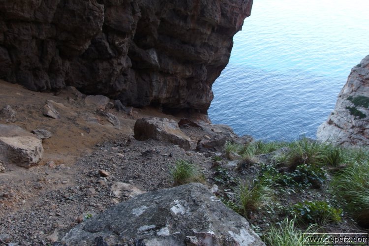 PA055419.JPG