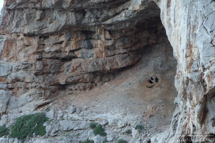 PA055425.JPG