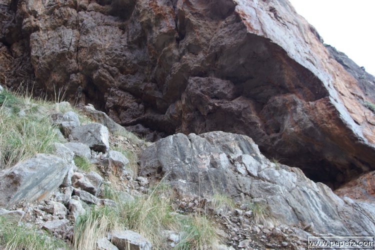 PA055426.JPG