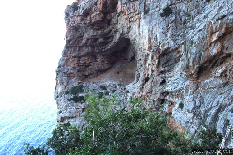 PA055428.JPG