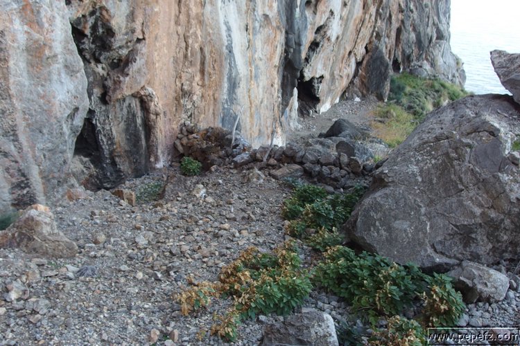 PA055433.JPG