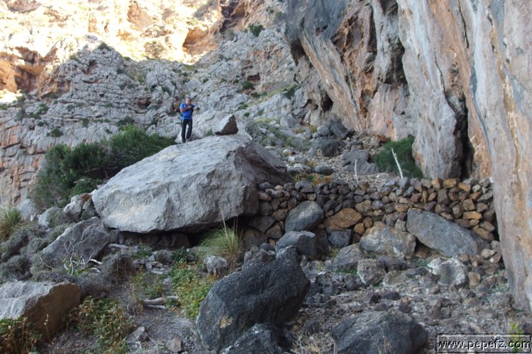 PA055437.JPG