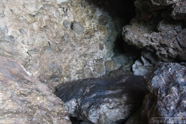 PA055449.JPG