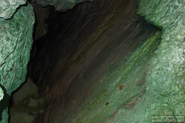 PA055450.JPG