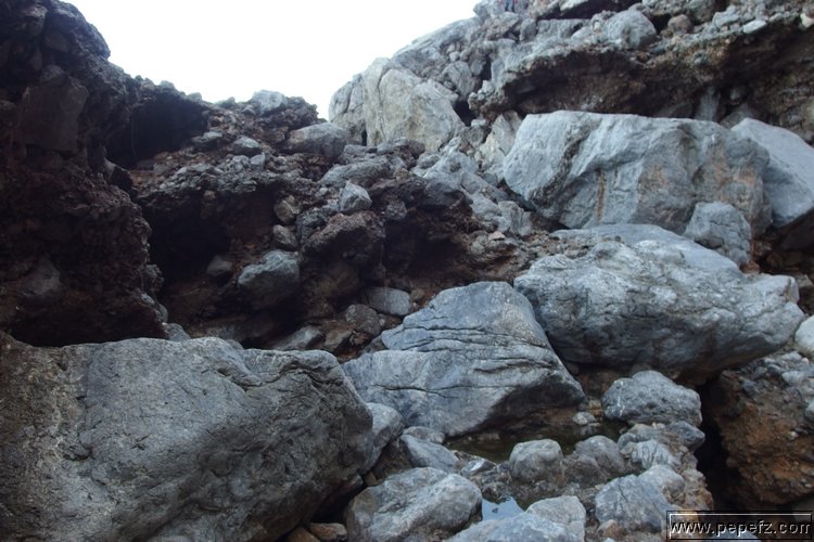 PA055456.JPG