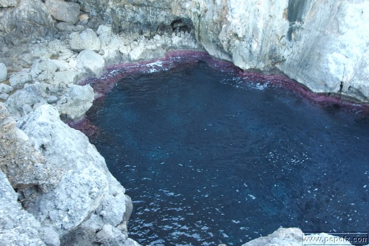 PA055463.JPG
