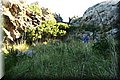 PA055393.JPG