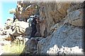 PA055409.JPG