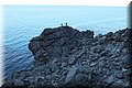 PA055448.JPG