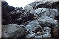 PA055456.JPG