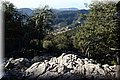 PA305490.JPG