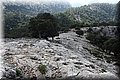 PA305509.JPG