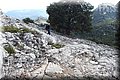 PA305510.JPG